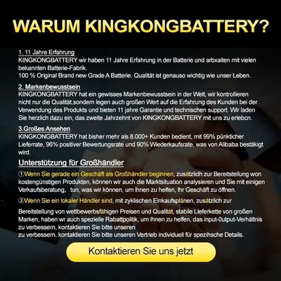 10 kWh a 40 kWh Bateria de íons de lítio montada em rack para sistema doméstico de armazenamento de energia solar