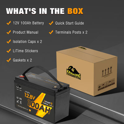 Bateria Lifepo4 12V 24V